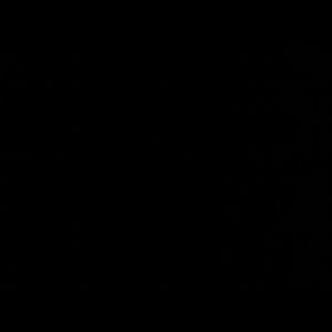 Meet your Posher, Coco